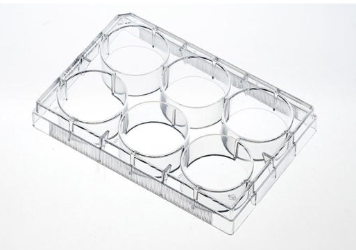 6 well CellATTACH Surface-treated Tissue Culture Plates,  Sterilized, Case of 100